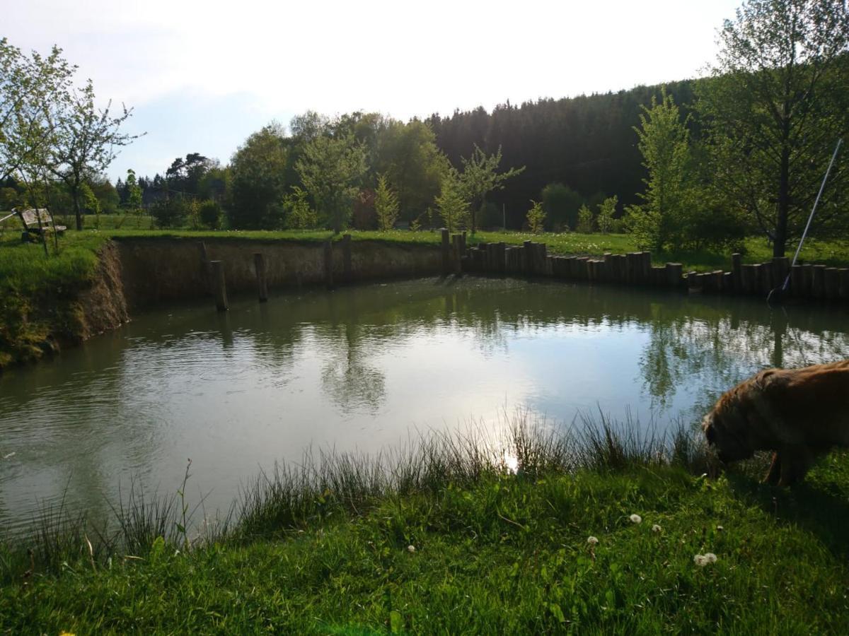 Ferienwohnung Hohe Acht Kaltenborn  Luaran gambar