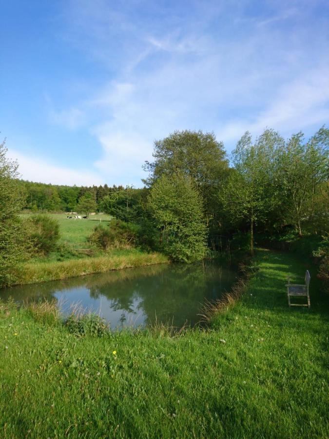 Ferienwohnung Hohe Acht Kaltenborn  Luaran gambar