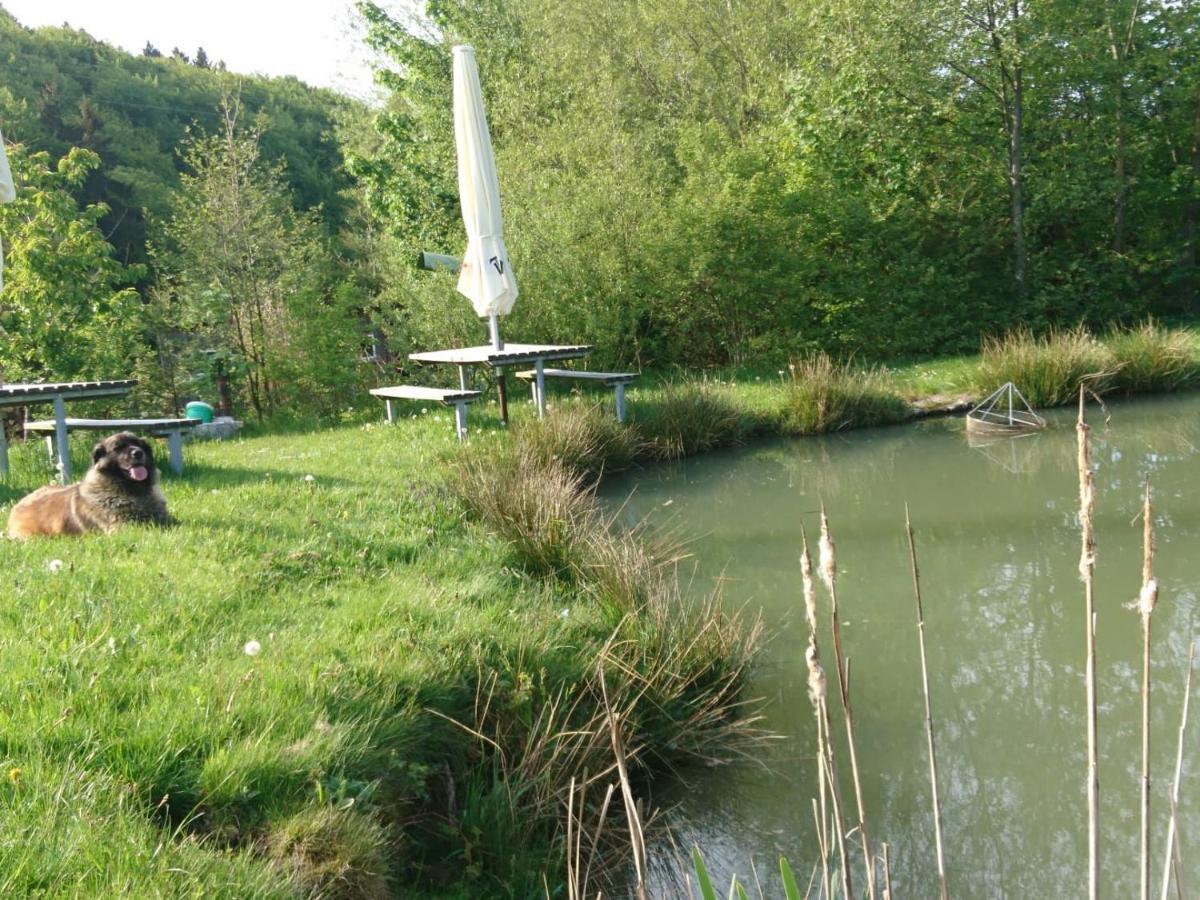 Ferienwohnung Hohe Acht Kaltenborn  Luaran gambar